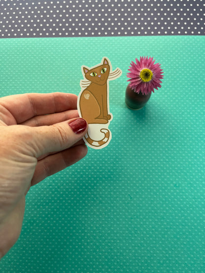George the Cat, the lovable orange kitty