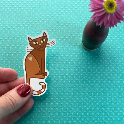 George the Cat, the lovable orange kitty