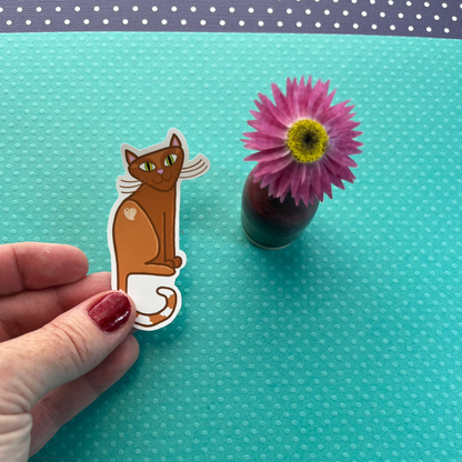 George the Cat, the lovable orange kitty