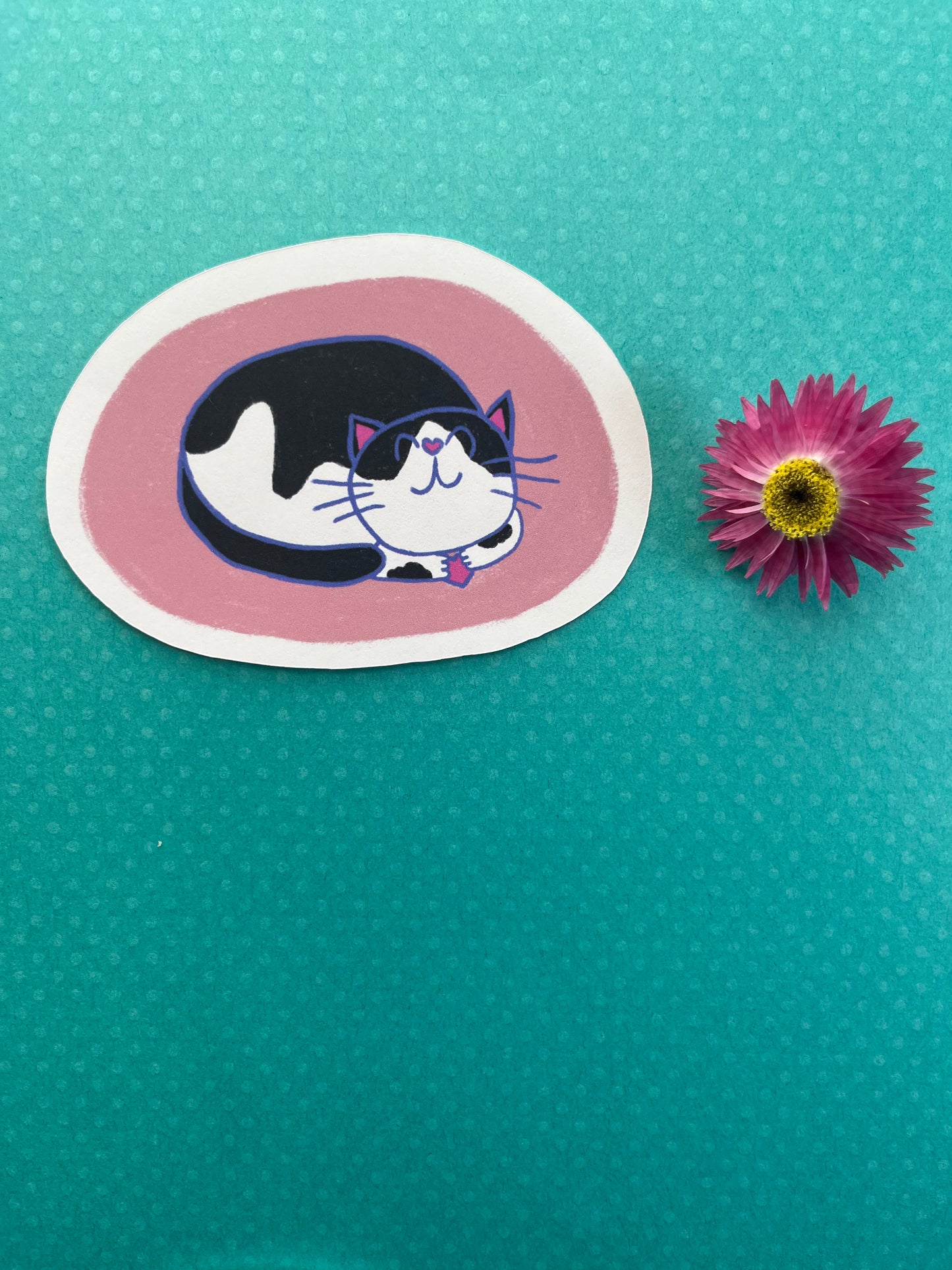 Paisley the Cat in Pink sticker