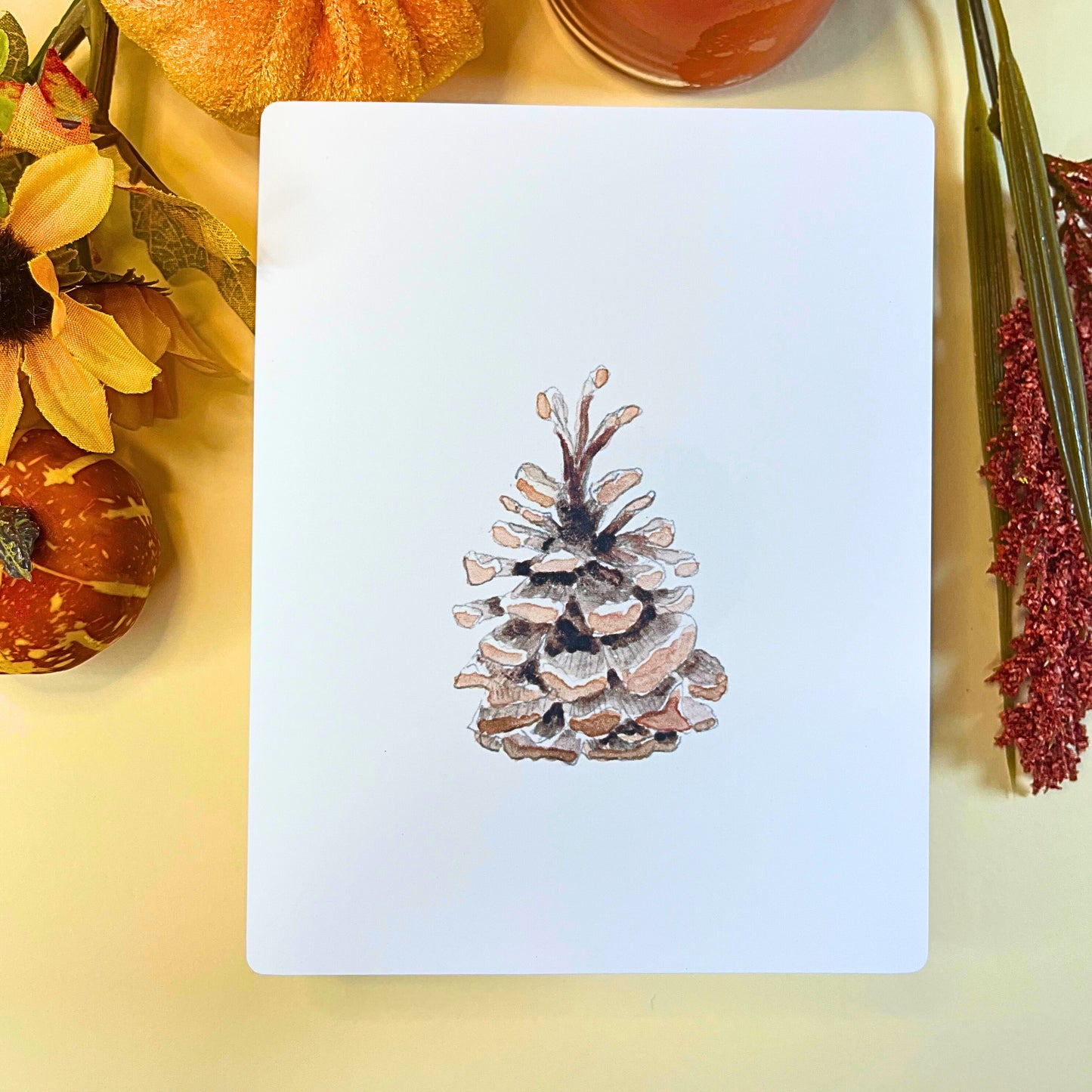 Pinion Pine Cone from Autumn Nature Walk collection - Art Print