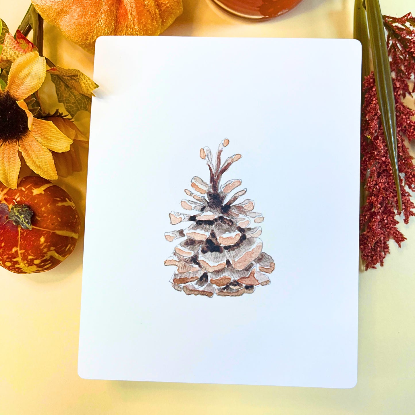 Pinion Pine Cone from Autumn Nature Walk collection - Art Print